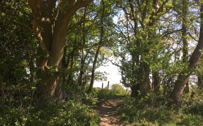 Uneven Paths